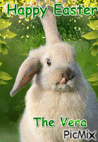 Easter bunny - Бесплатный анимированный гифка