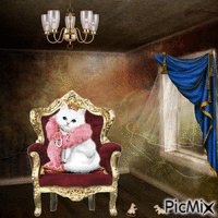 chat le roi - GIF animé gratuit