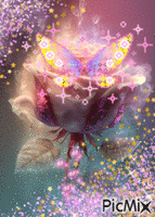 Pink Rose.🌹 animēts GIF