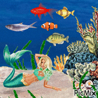 Mermaid and fish friends (my 2,440th PicMix)