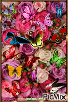 Vole joli papillon Vole papillon rouge Vole papillon vert Vole papillon bleu Vole papillon rose vole papillon jaune Butinez de fleur en fleur Jolis papillons de toutes les couleurs.... - GIF animado gratis