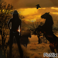 Cowgirl-Silhouette - Gratis geanimeerde GIF