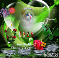 Beautiful Cat - Bezmaksas animēts GIF