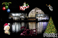 新潟県立植物園 2013/12/23-№ 3 - Free animated GIF