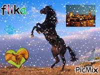 world cheval - Darmowy animowany GIF