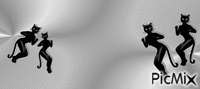grauekatze - Ilmainen animoitu GIF