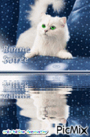 chat blanc - GIF animate gratis