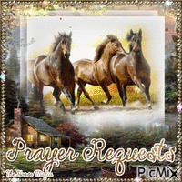 The Horse Mafia - Prayer Requests - Безплатен анимиран GIF