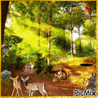 Forêt et Animaux - Бесплатный анимированный гифка