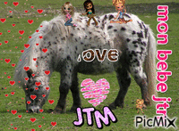 mon amour adorre - GIF animado gratis