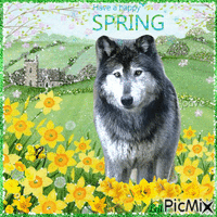 Have a Happy Spring. Dog - GIF animé gratuit