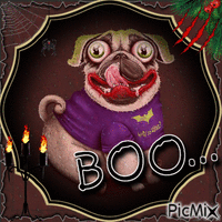 Boo... Pug - GIF animasi gratis