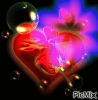 coração Animated GIF