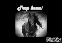 HORSE Animated GIF