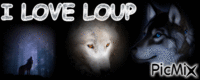 I LOVE LOUP - Zdarma animovaný GIF