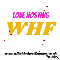 love hosting - Free animated GIF