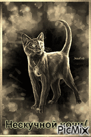 мистический кот - Бесплатный анимированный гифка