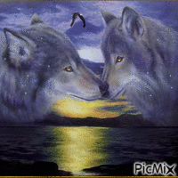 Wolves animovaný GIF
