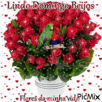 Lindo Domingo Beijos - GIF animado grátis