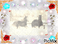 pferde - Безплатен анимиран GIF