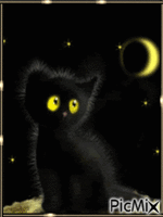 Gato preto- Boa noite GIF animado