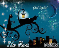 Cats at night - Free animated GIF