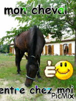 mon cheval - GIF animate gratis
