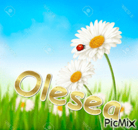 olesea - Ingyenes animált GIF