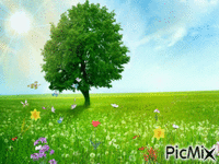 Frühling - Besplatni animirani GIF