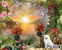 jardim de flores - 無料のアニメーション GIF
