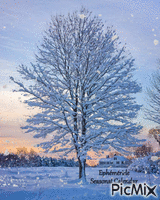 Première Neige First Snow - GIF animé gratuit