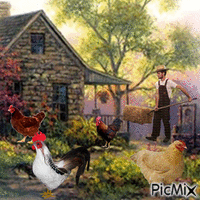 Les poules - Darmowy animowany GIF