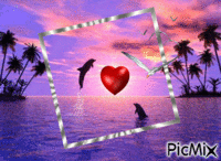 dauphin coeur - Ilmainen animoitu GIF