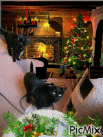 Holiday kittys GIF animé
