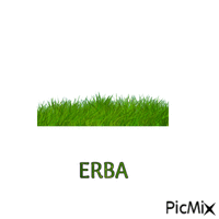 ERBA geanimeerde GIF