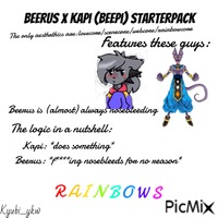 Beepi Starterpack