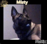 Misty - Δωρεάν κινούμενο GIF