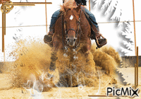 la passion des chevaux!! - Animovaný GIF zadarmo