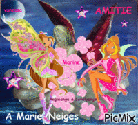 * Cadeau d'Amitié - Pour Ange.lo * animovaný GIF