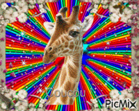 girafe GIF animé