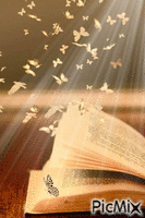 livre aux papillons - Free animated GIF