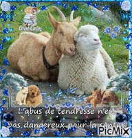 magnifique tendresse adorable Animated GIF