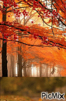 Collage de otoño анимированный гифка