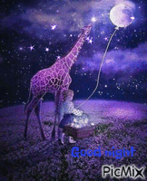 noc - Nemokamas animacinis gif