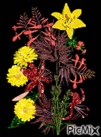 kvety animowany gif