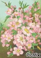 kvetinky animovaný GIF