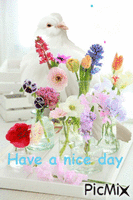 Have a nice day - Free animated GIF