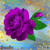 sublime rose - Darmowy animowany GIF
