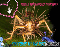Fun Fungus Thursday! GIF animé