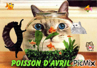 poisson d'avril - Zdarma animovaný GIF